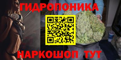 твердый Коммунар